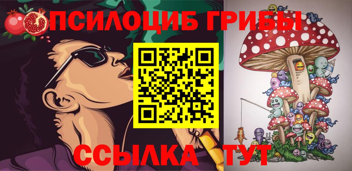 Псилоцибиновые грибы прущие грибы  Вход с VPN  Протвино 